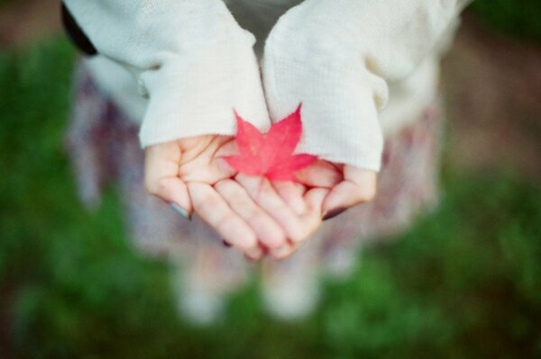 A leaf on the palm of your hand. Autumn