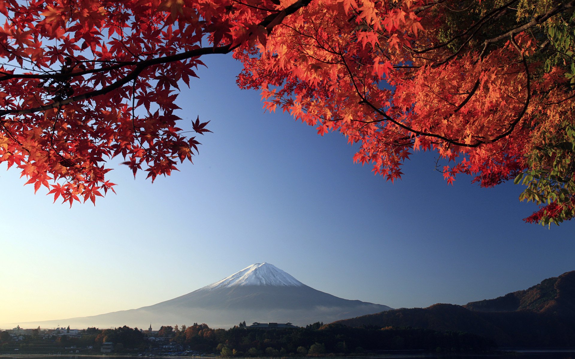 japon branches montagne arbre fujiyama automne volcan