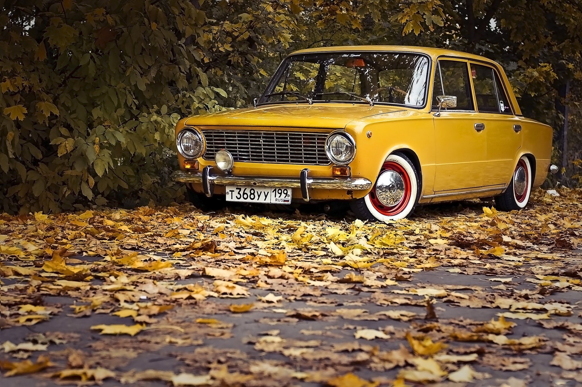 vasen lada auto 2101 herbst blätter klassisch retro