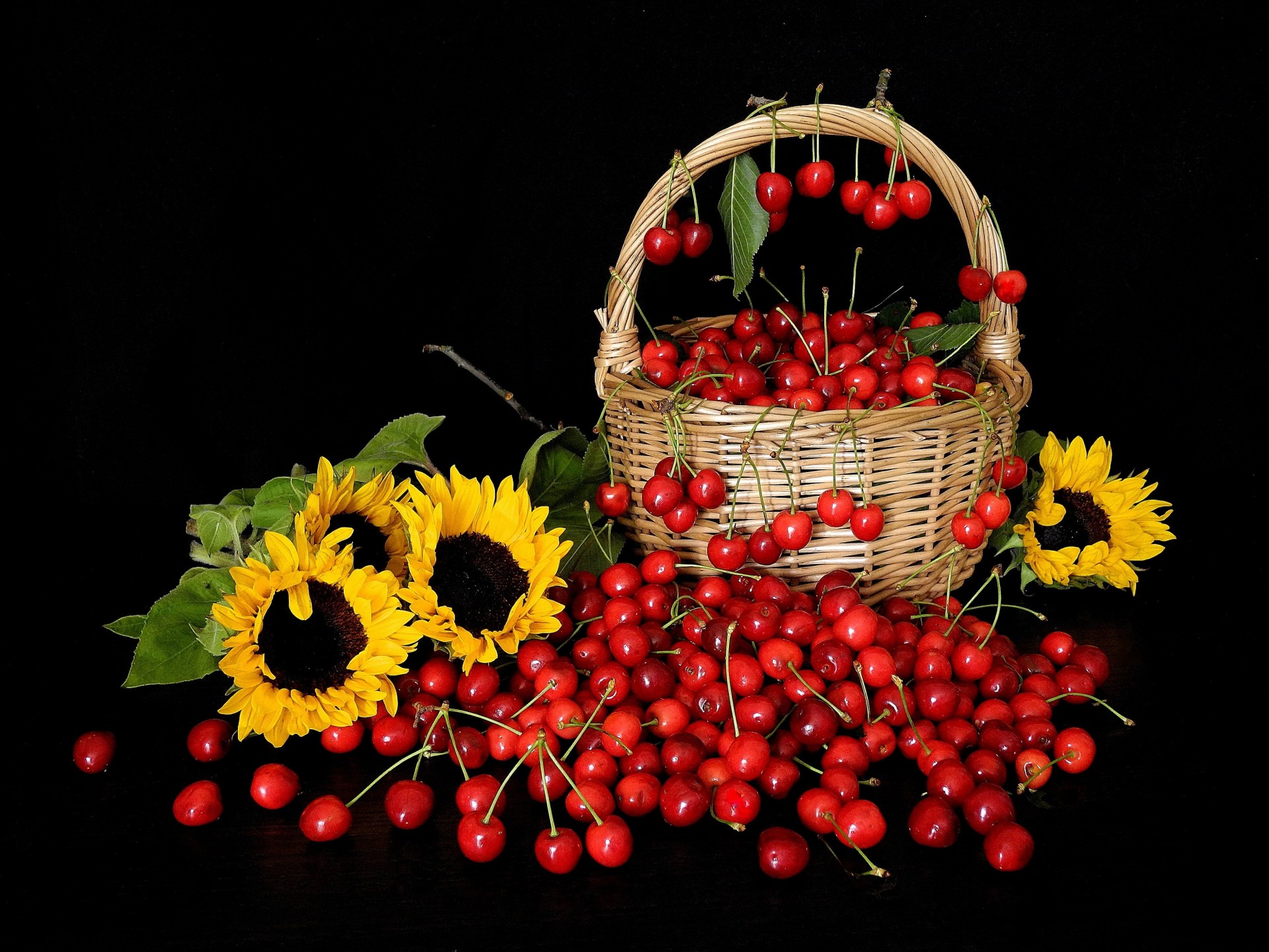 lit tournesols shopping sakura