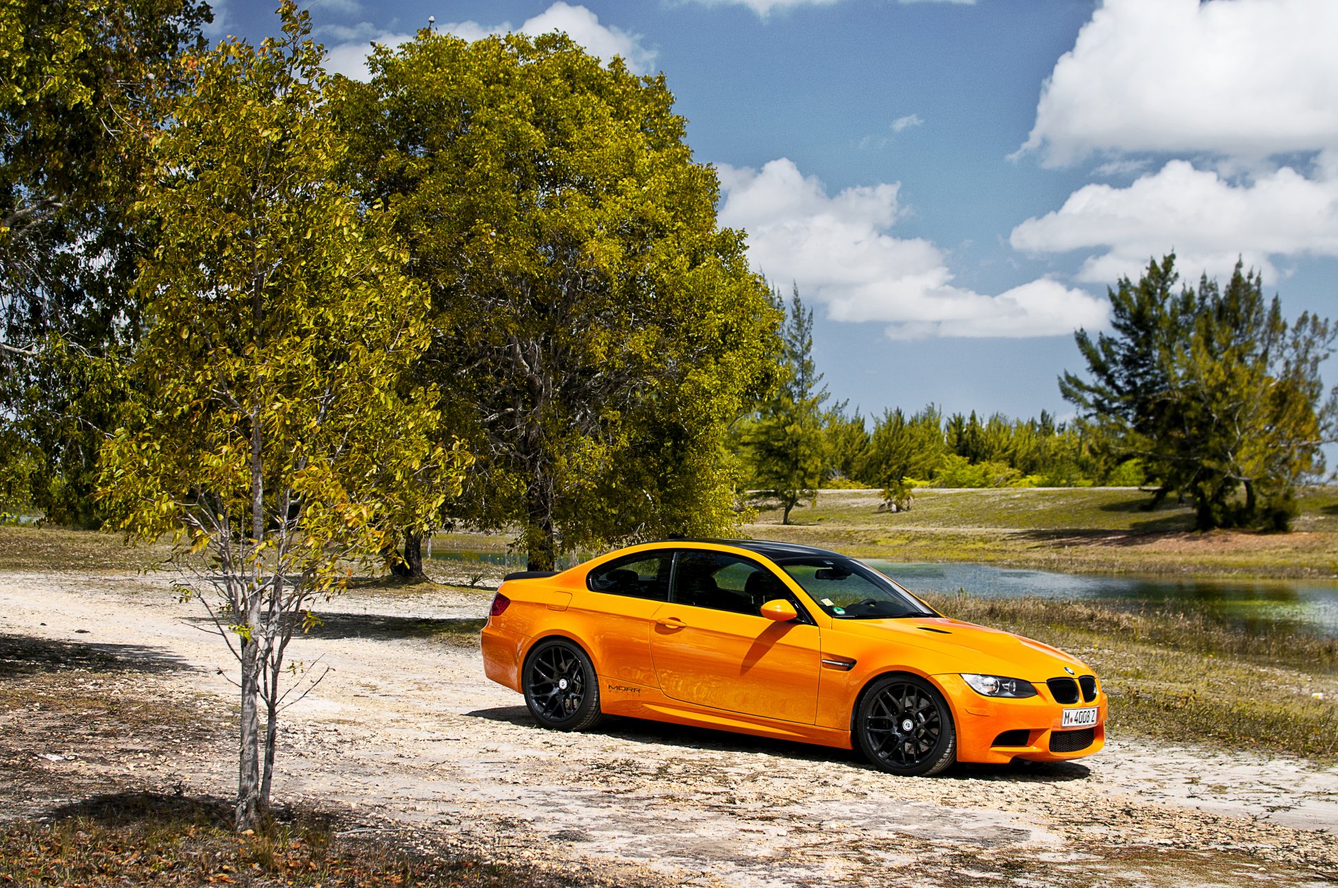 bmw m3 bäume bmw natur coupé