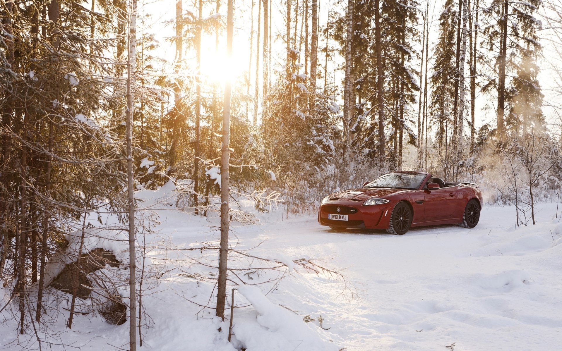 jaguar xkr-s convertible jaguar rojo invierno nieve bosque sol