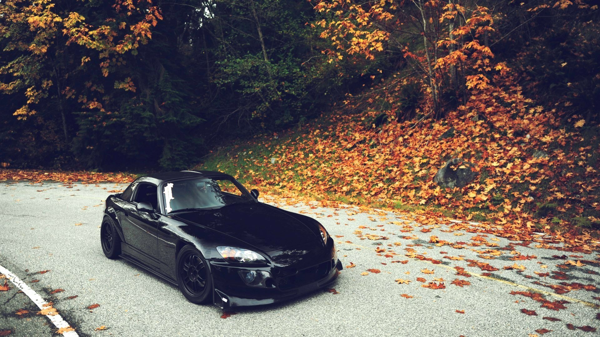 tapeta samochodowa czarna honda s2000 tuning japonia tapeta honda s2000 czarny samochód jesienne liście