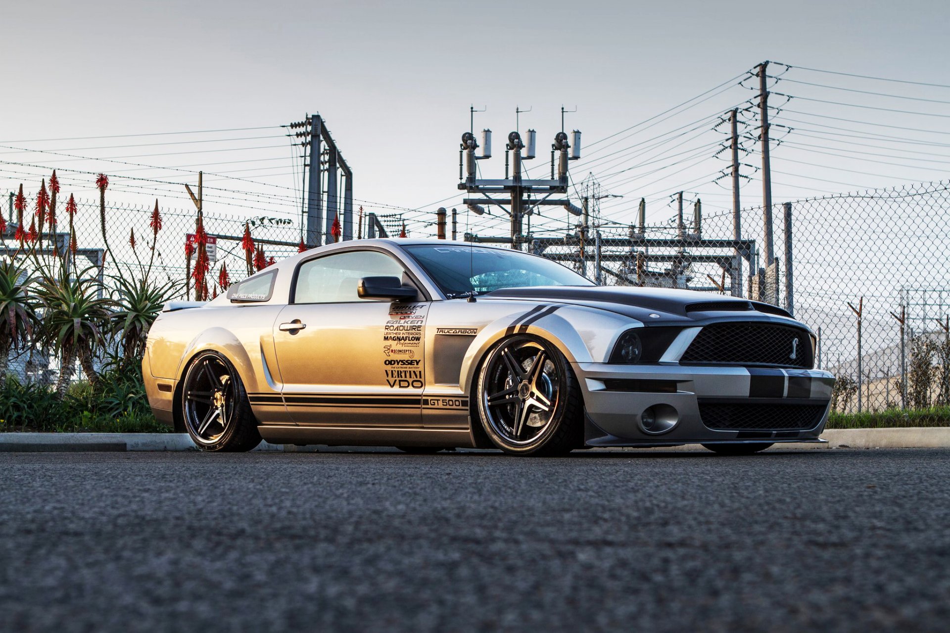 ford mustang gt500 shelby cobra drähte straße palmen zaun netz