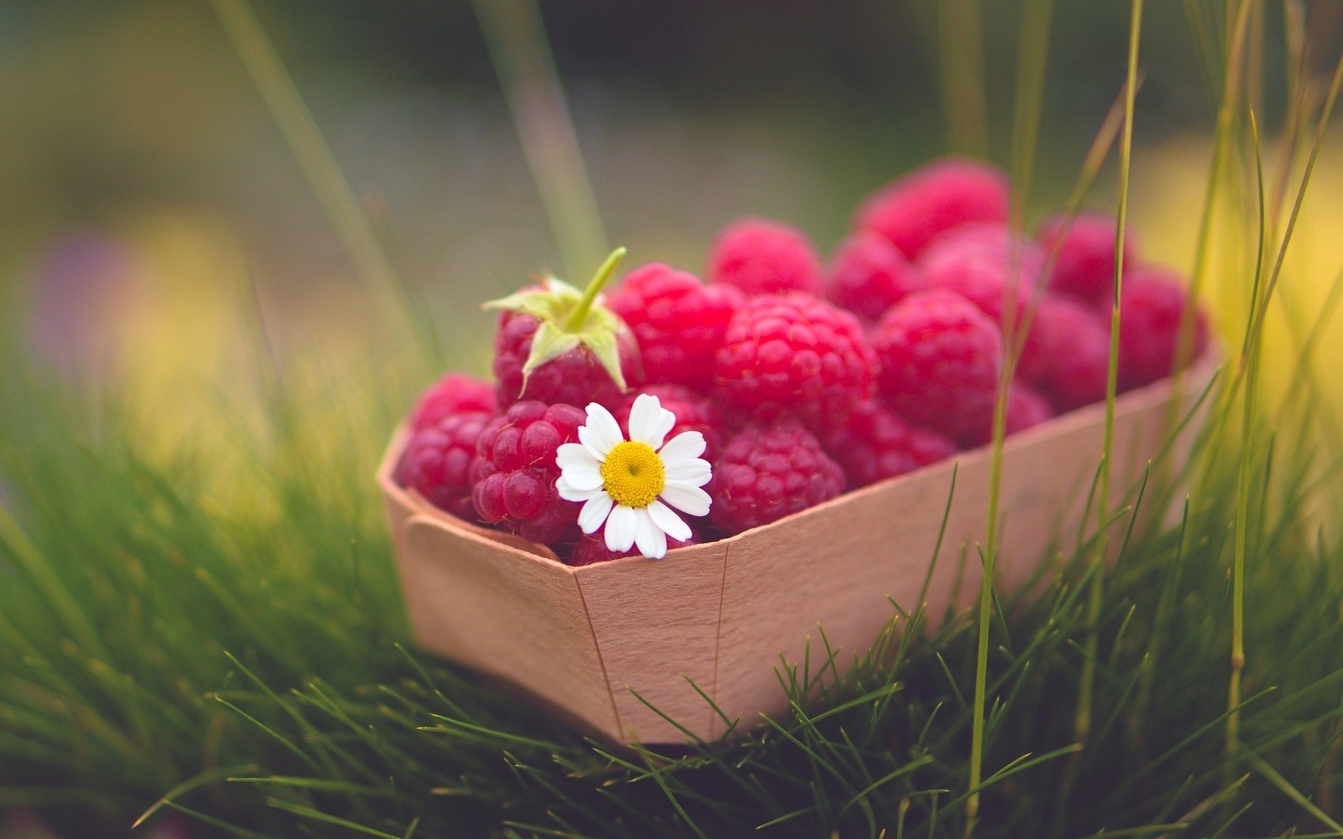 fleur nourriture framboise camomille baie