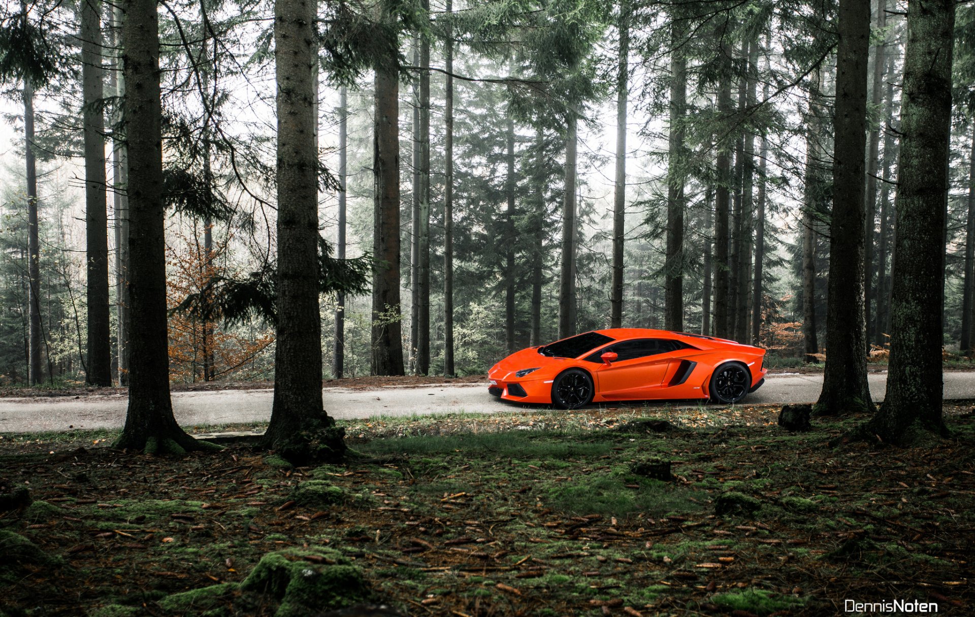 lamborghini aventador bosque luz