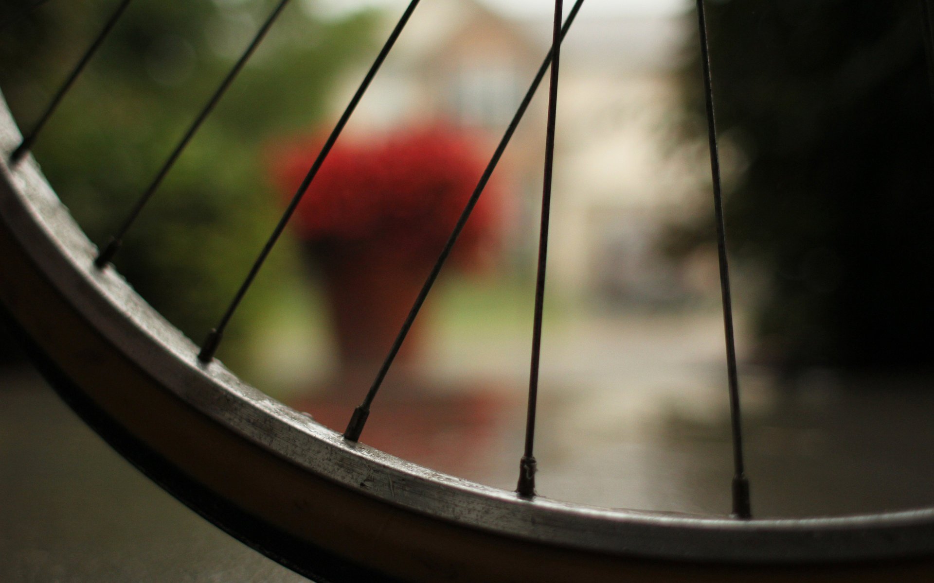 bicicleta macro bicicleta macro efecto bokeh rueda radios