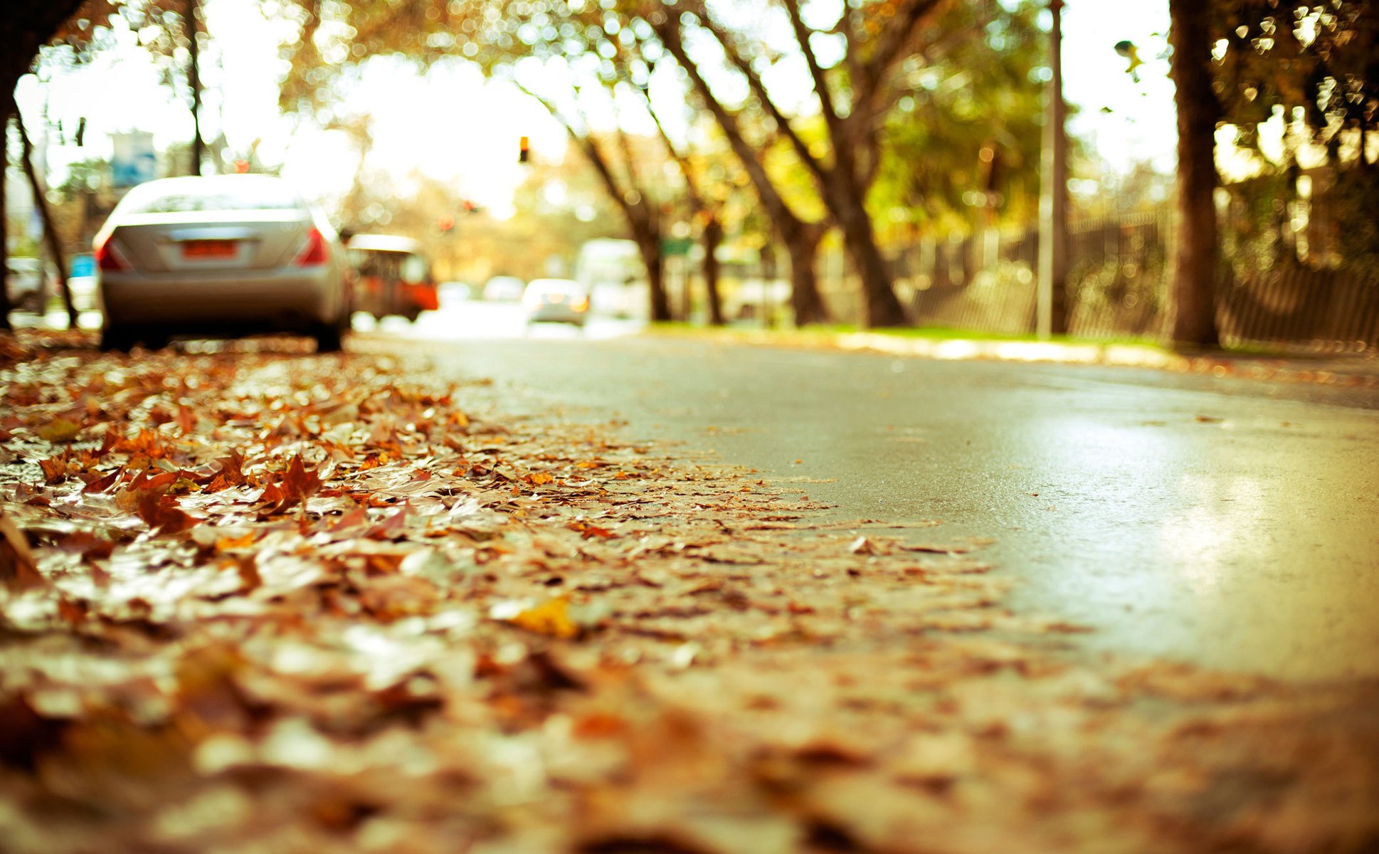 road asphalt cars autumn highway foliage