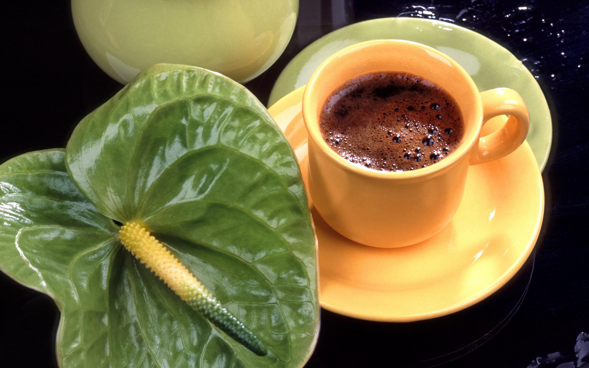 anthurium cup flower coffee