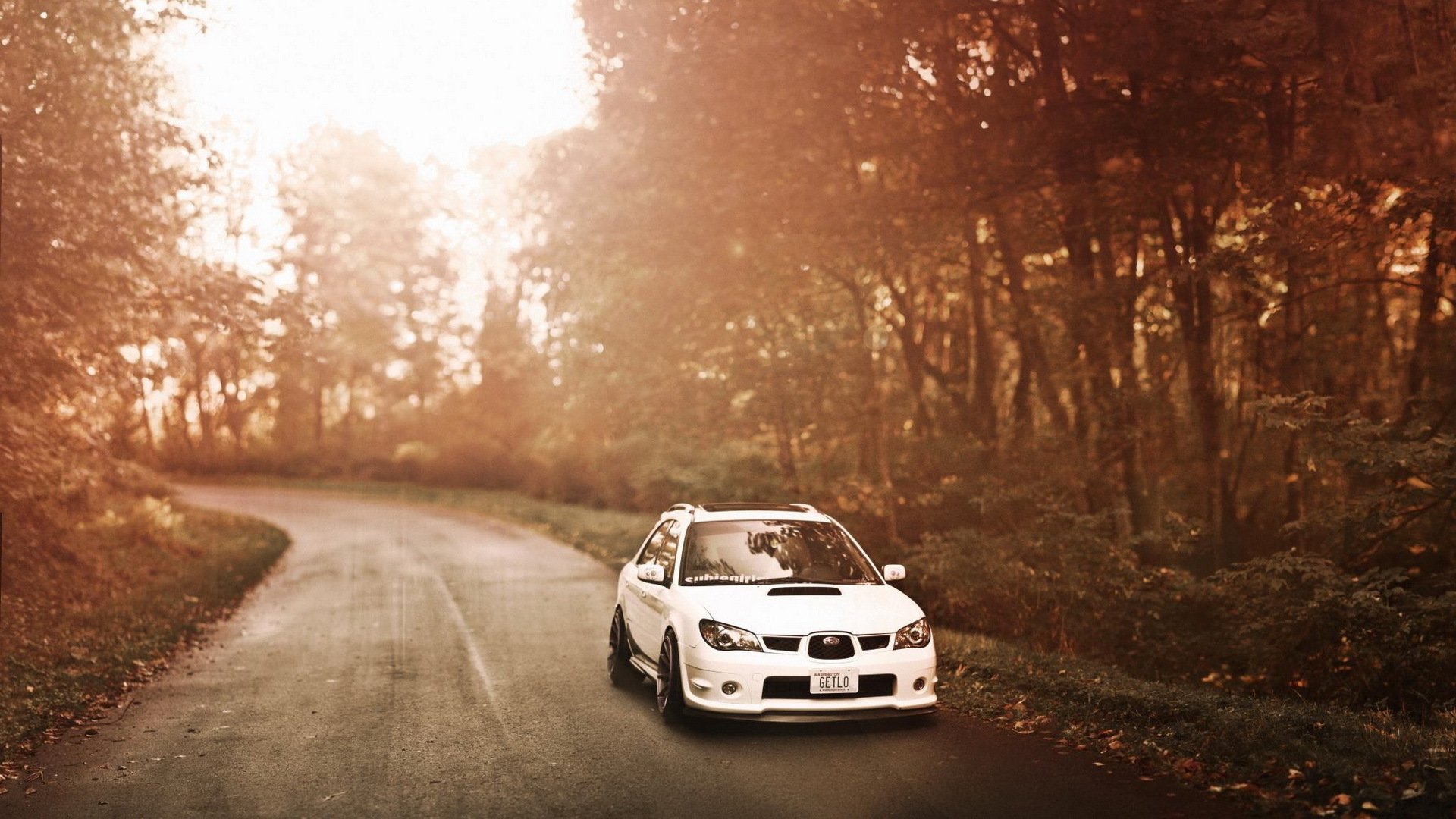 ubaru impreza subaru carretera bosque