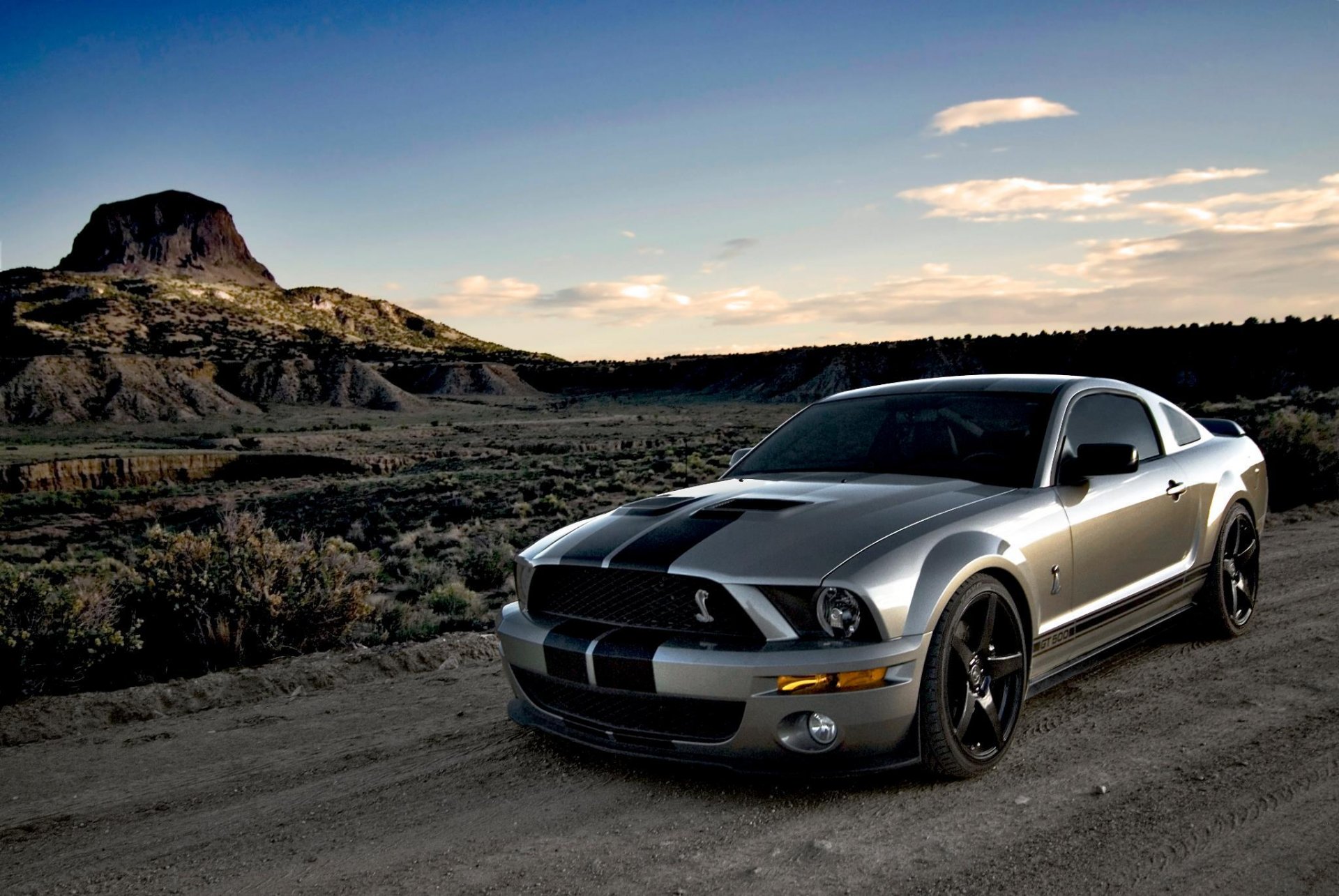 shelby cobra mustang