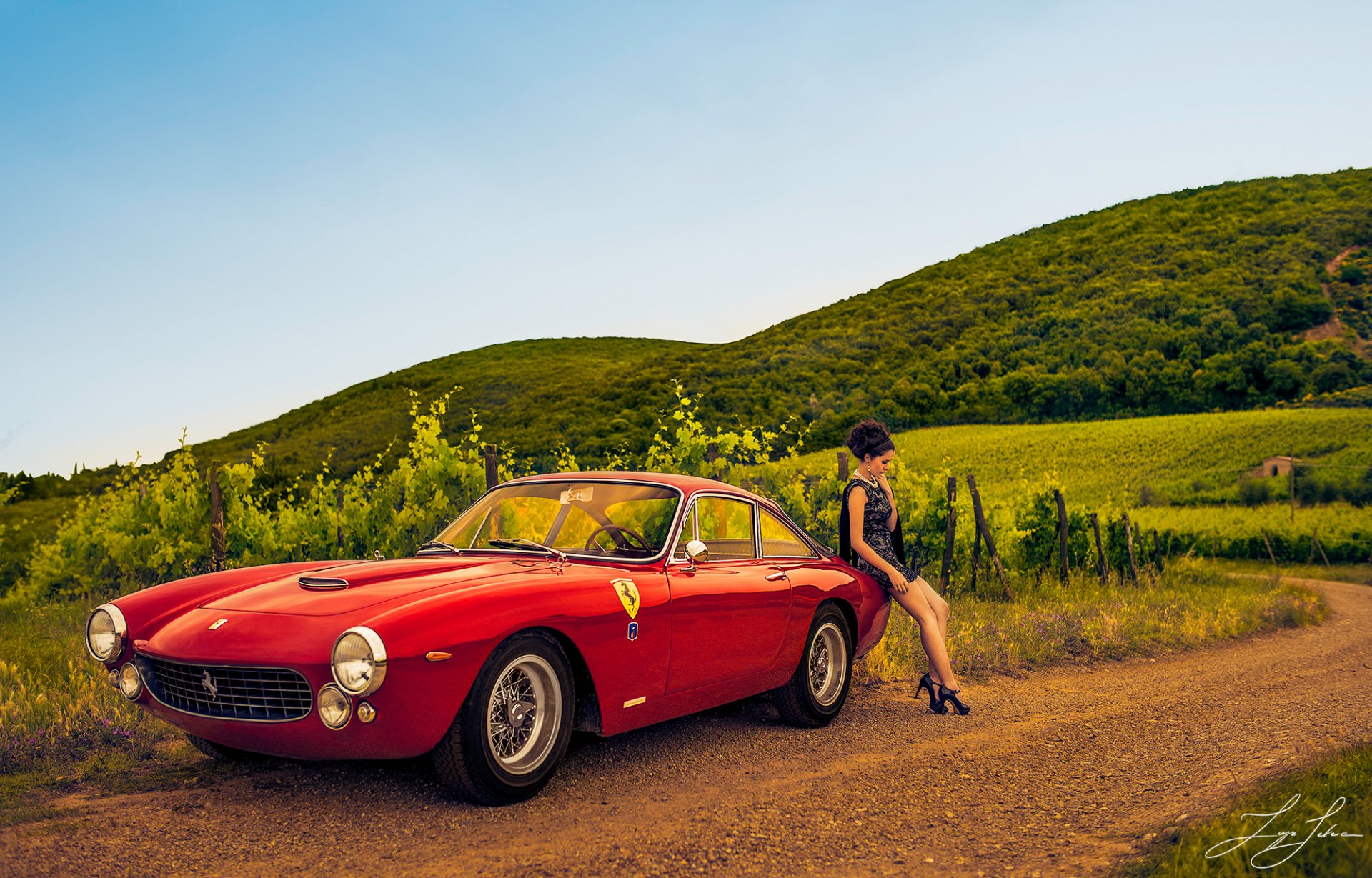 ferrari 250 gt chica carretera viñedos