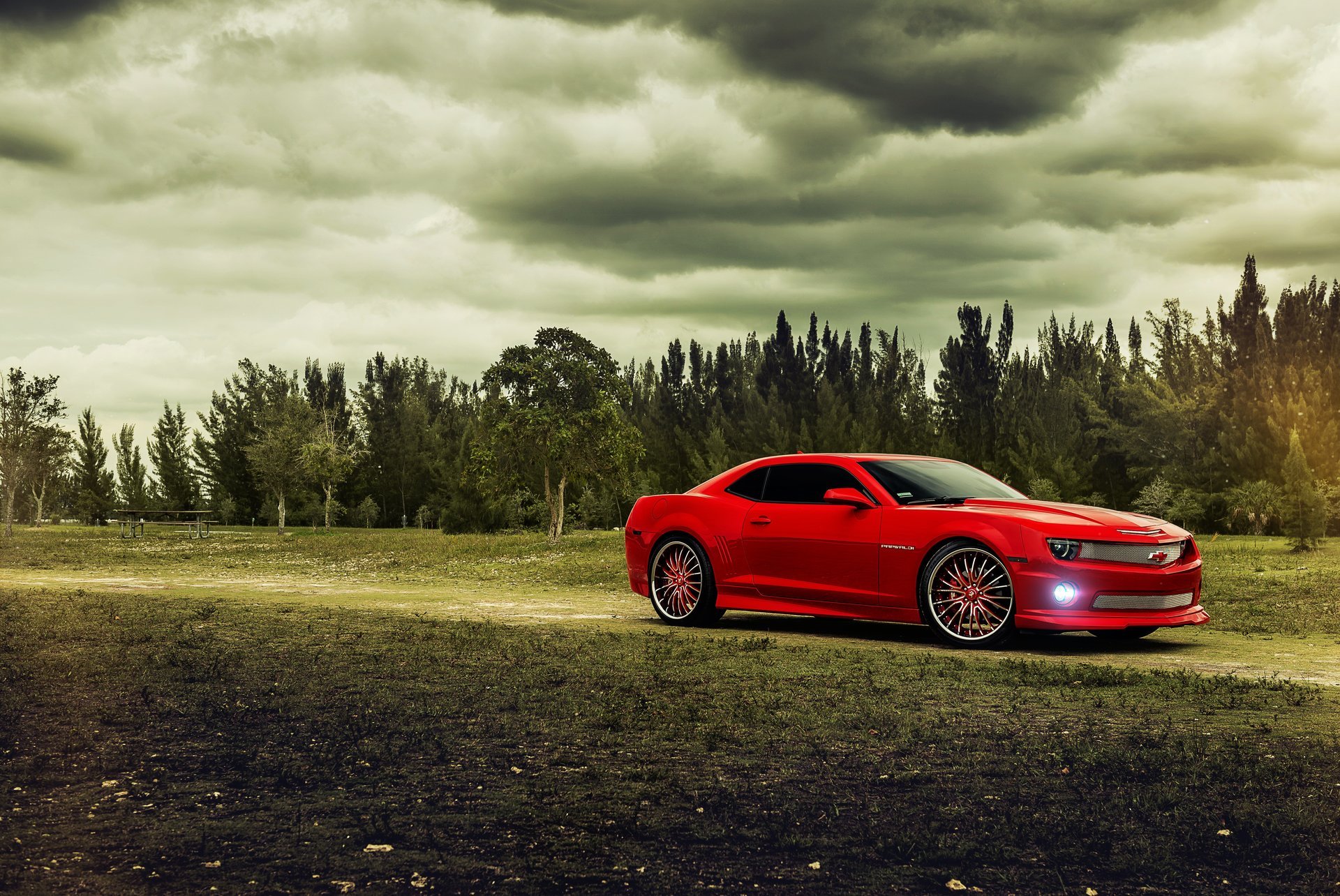 chevrolet camaro red muscle car chevrolet camaro red muscle car tree