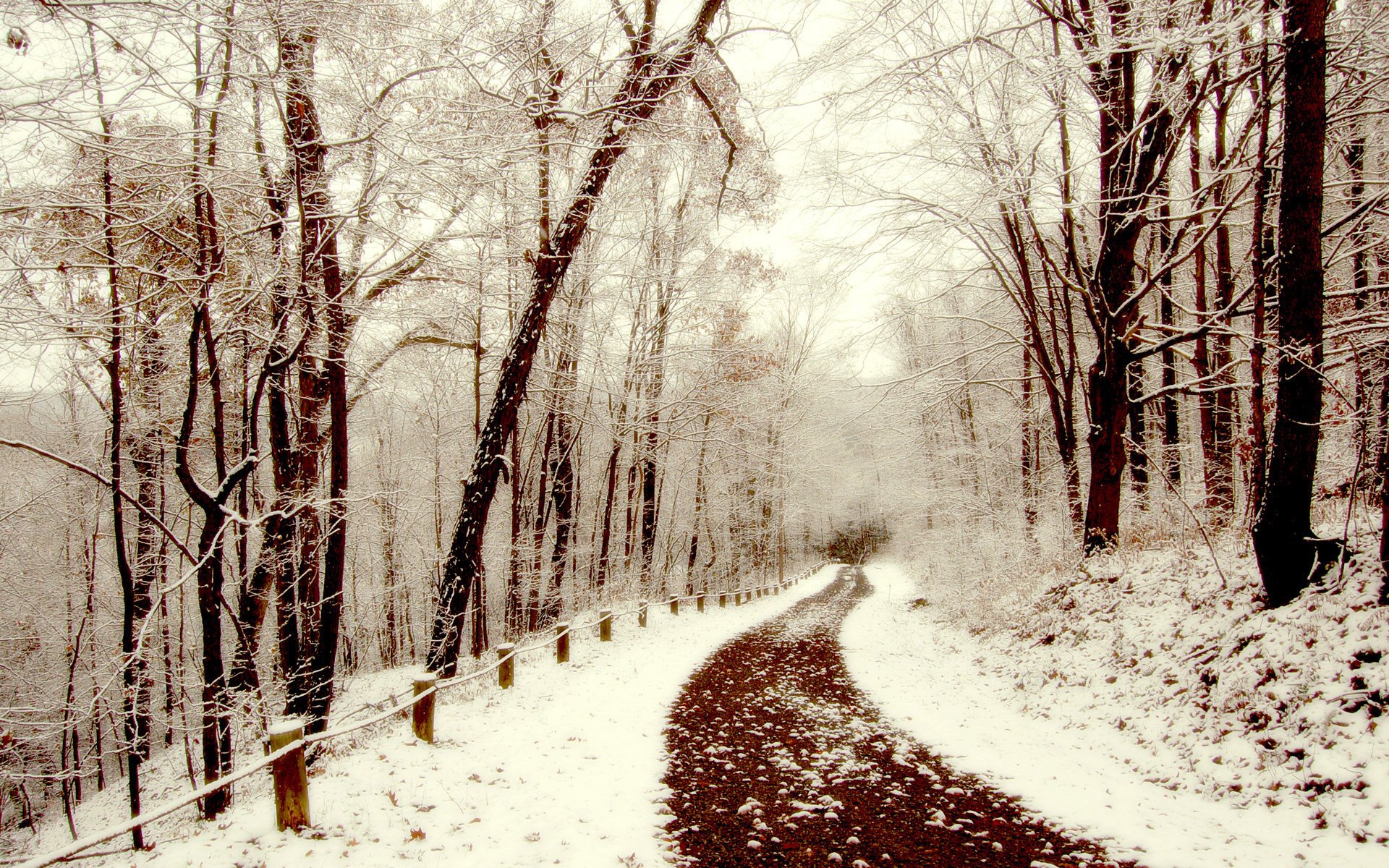 neige sentier hiver marche