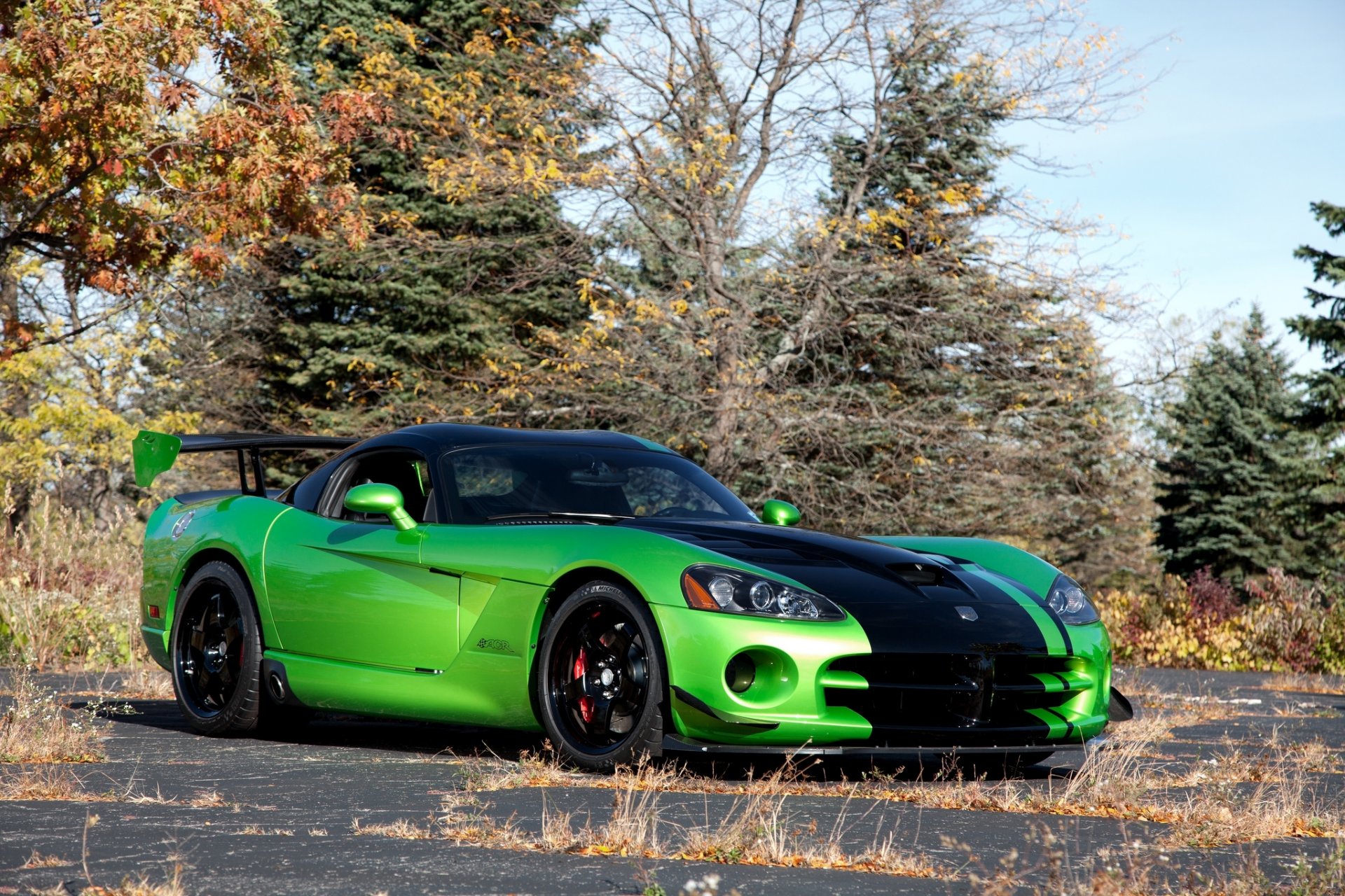 esquivar víbora acr serpiente edición verde árboles dodge viper vista frontal otoño