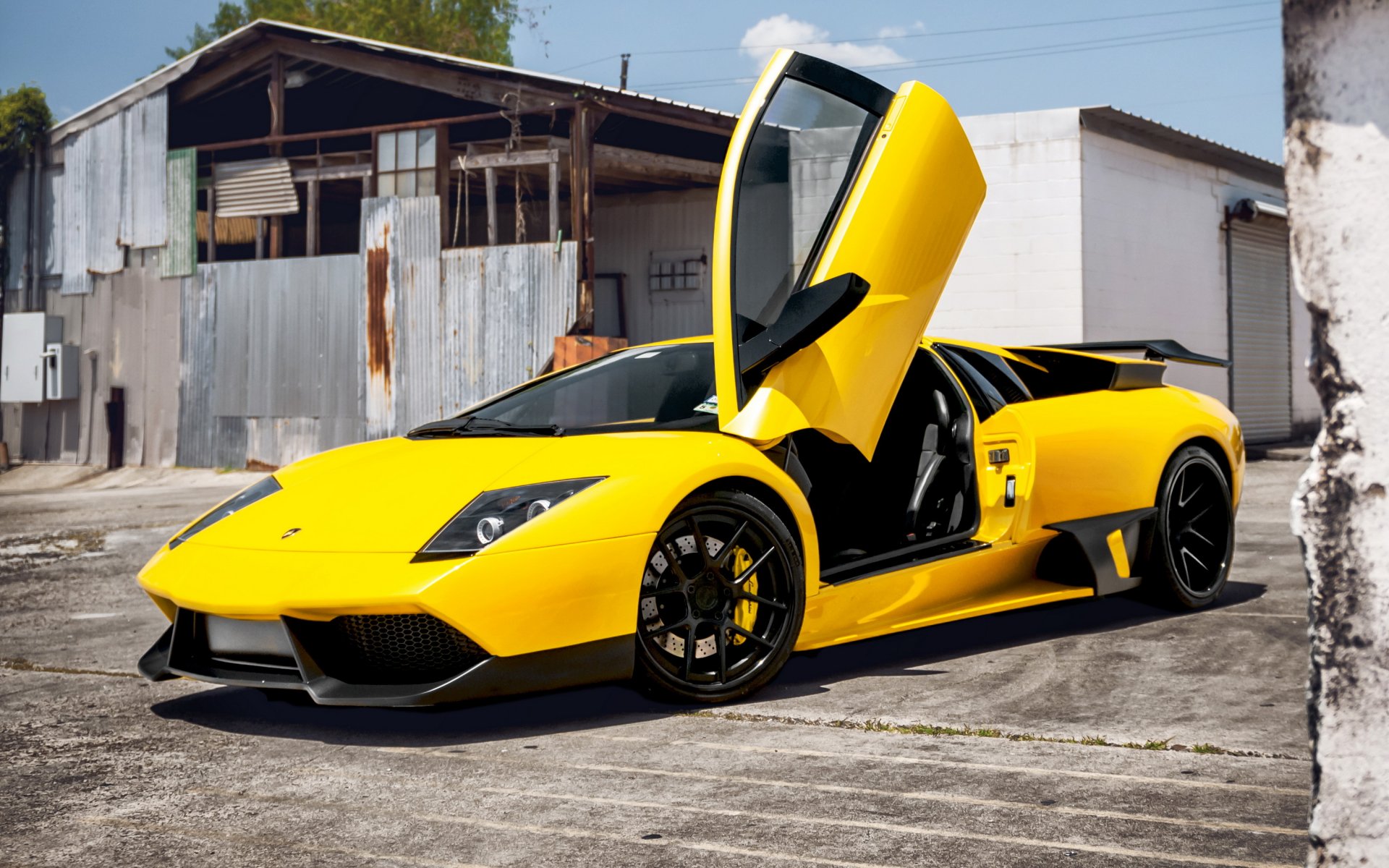 lamborghini murcielago lamborghini superdeportivo amarillo mursielago