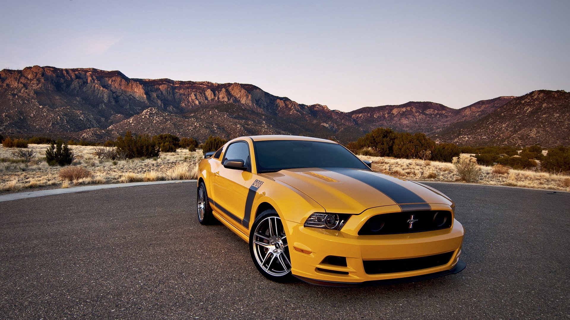 ford mustang boss 302 ford tapeten auto