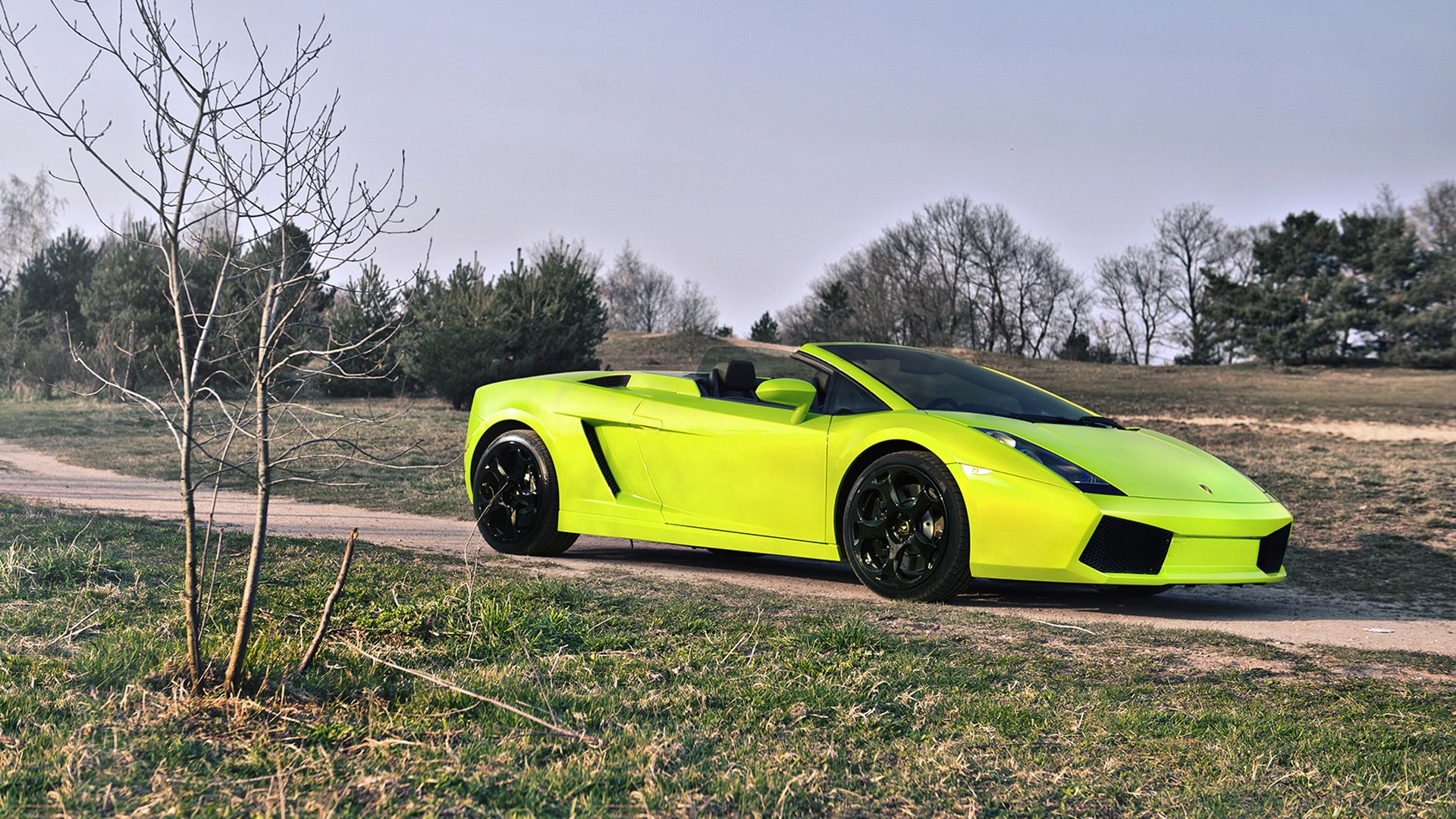 lamborghini gallardo spyder ламборгини салатовый природа