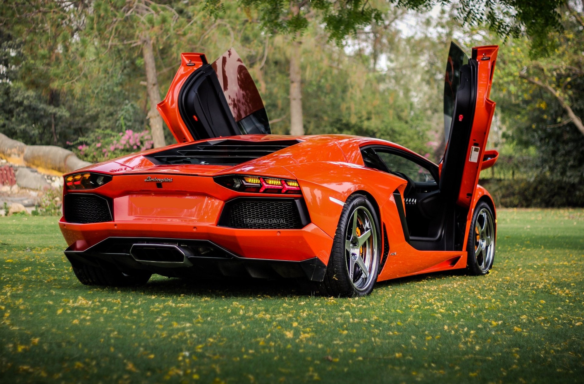 lamborghini aventador lp700-4 orange lamborghini aventador arrière portes guillotine pelouse arbres