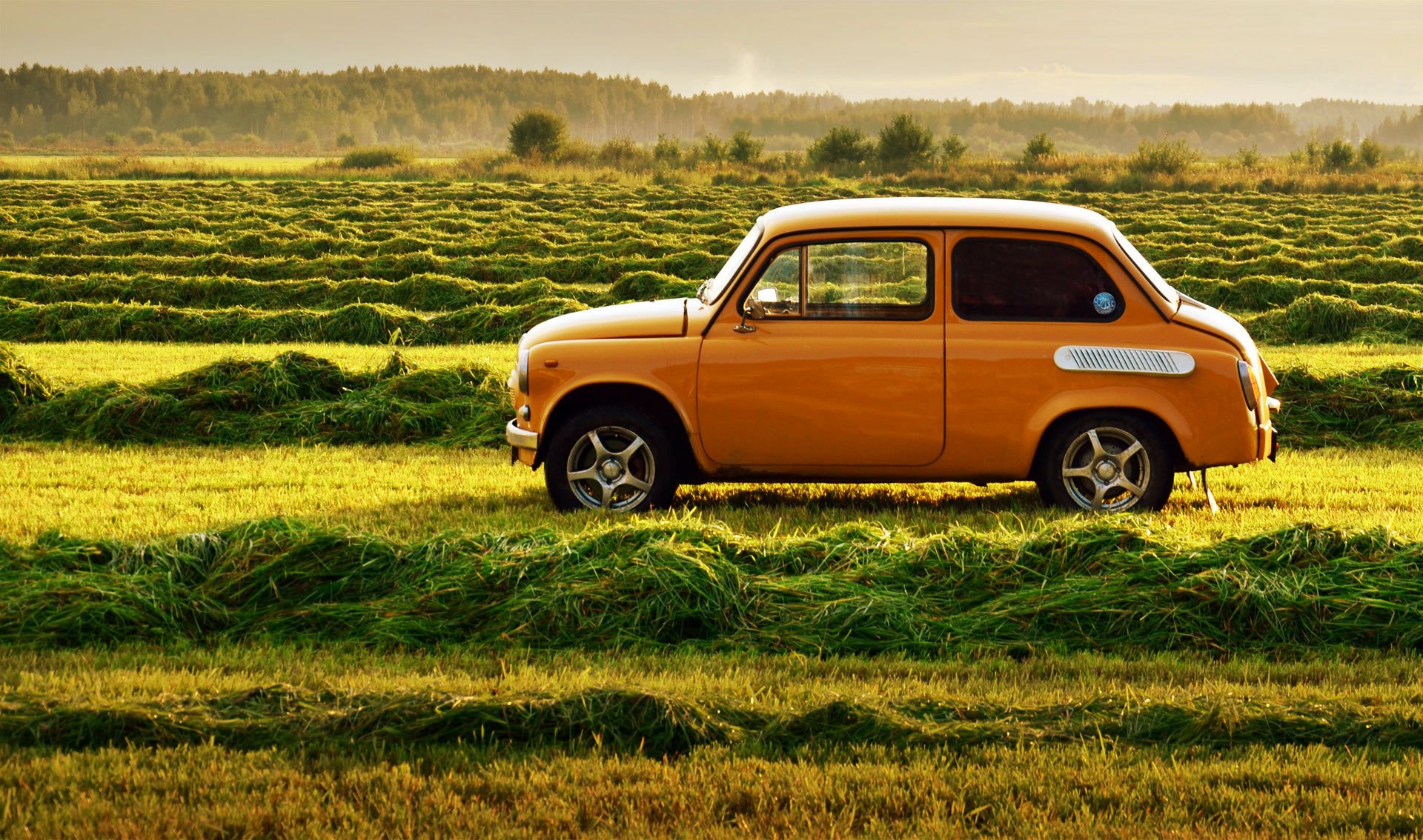 zaz zaporozhets rétro urss herbe voiture nature