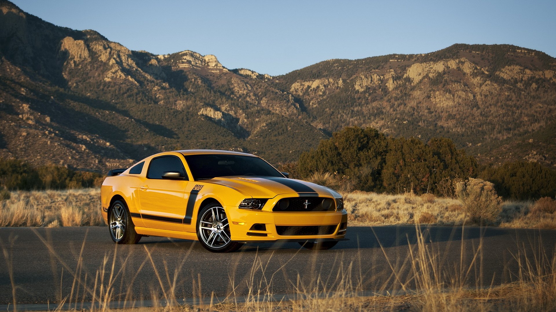 ford mustang boss 302 ford tapeten muscle car