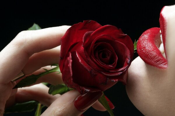 Rosa roja en la mano en los labios rojos