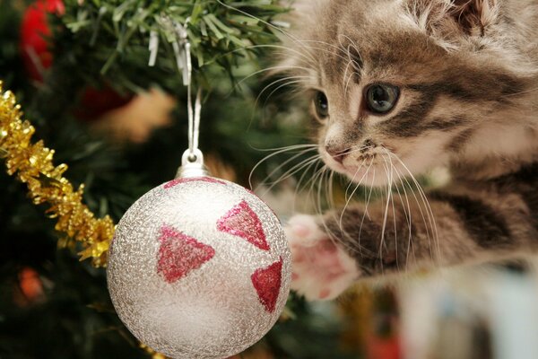 Piccolo gattino che gioca con la palla di Natale