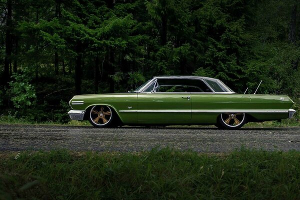 Green retro car on a forest background