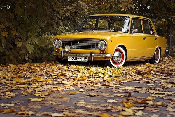 Retro classics in autumn leaves