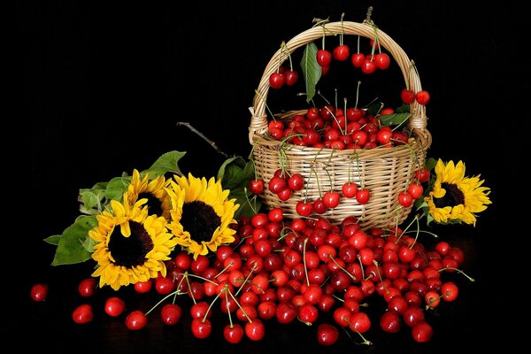 Photo panier avec des cerises et des tournesols