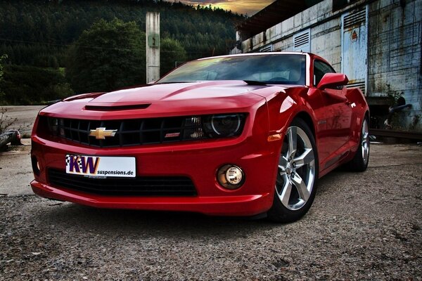 Red beautiful Chevrolet Camaro