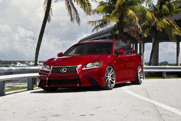 Rouge Lexus gs F tuning sur la route sous le pont près de palmiers