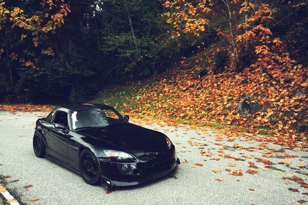 Coche negro en follaje de otoño