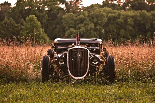 Hot Rod Steht im Gras