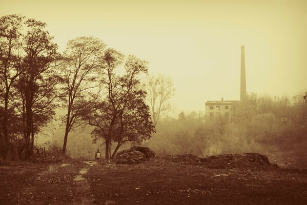 Autumn landscape of trees and houses with a chimney