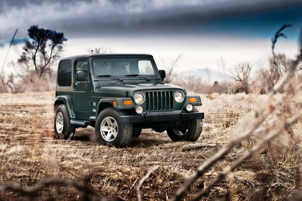 Jeep verde en el fondo del campo y el cielo oscuro