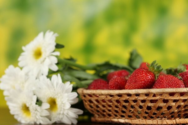 Fresas en la cesta. Cerca de un ramo de margaritas