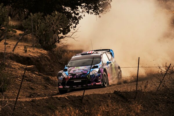 Sports car Ford Fiesta on the track in a turn