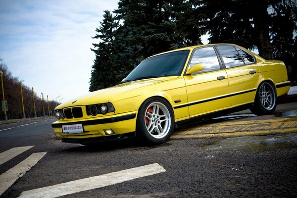 BMW cinco en amarillo en la carretera del país