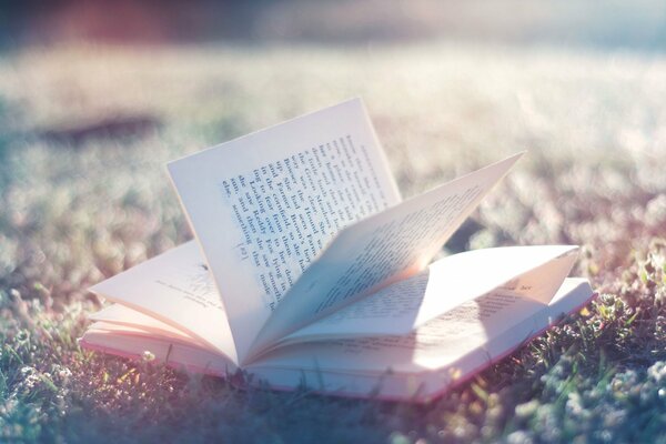 Une douce lumière tombe sur un livre ouvert