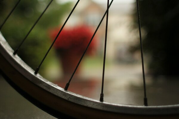 The spokes of the wheel are photographed on a macro