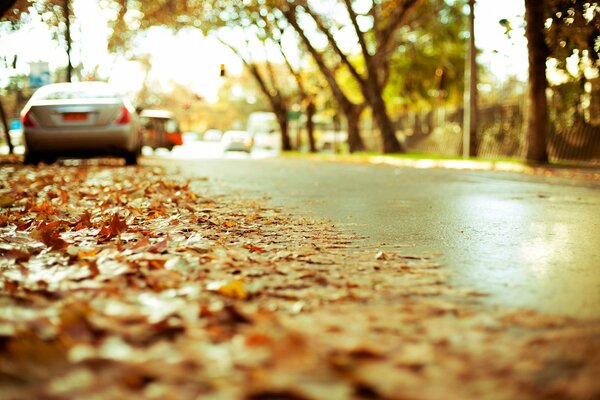 Autumn Road dove sono parcheggiate le auto