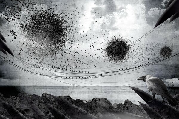 A swarm of gloomy birds in the sky over the wasteland