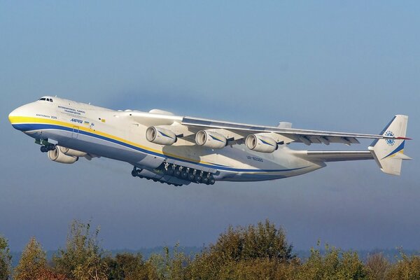 A large passenger plane over the trees