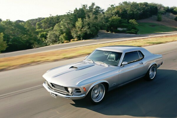 Gray Mustang rushes along the road past the trees