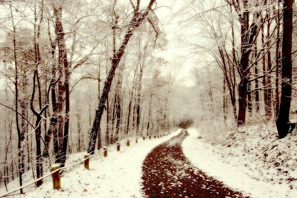 A path in a snow-covered park in winter