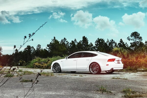 Voiture Audi blanc sur fond d arbres