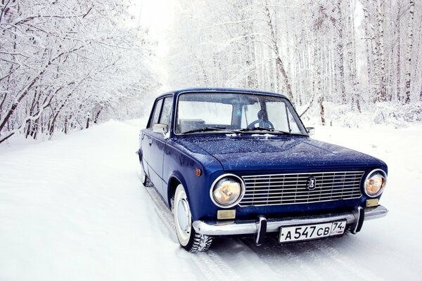 Dark blue penny in the snowy forest