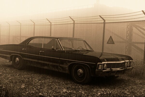 Cadillac in the fog behind an iron fence