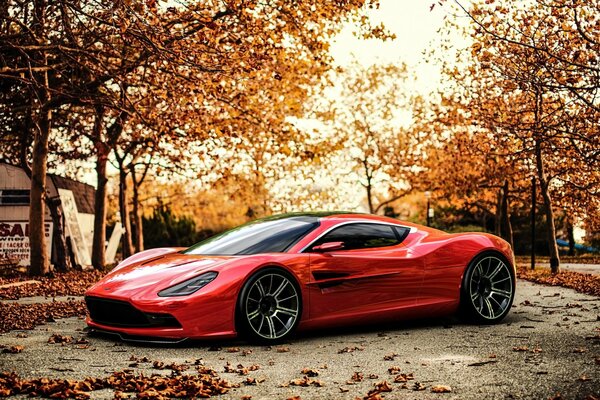 Red car on the background of autumn landscape